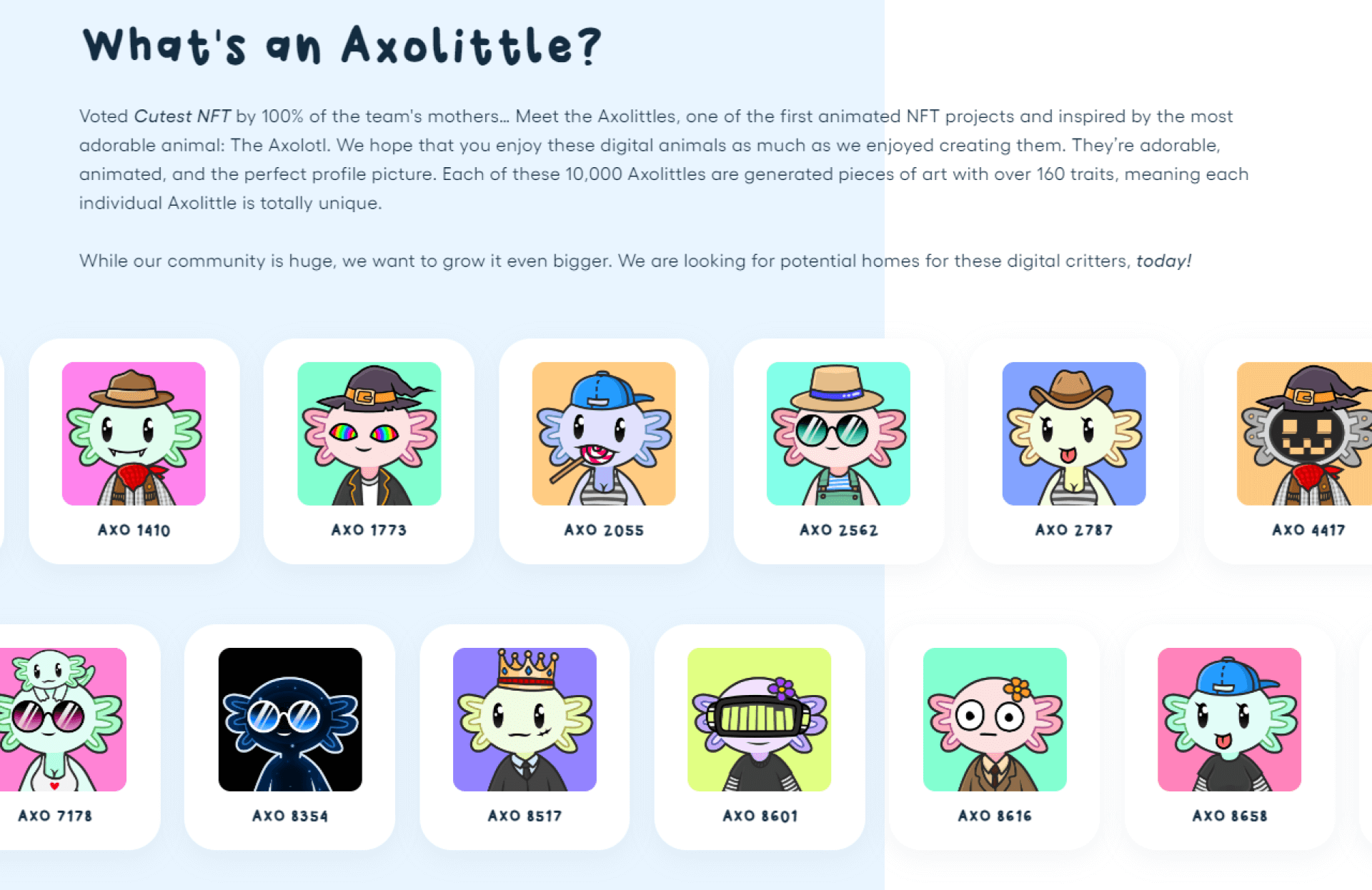 axolittles-info-1
